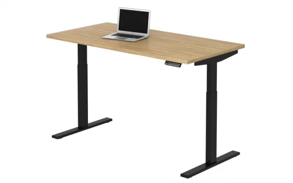New Sit to Stand Base - Image 4
