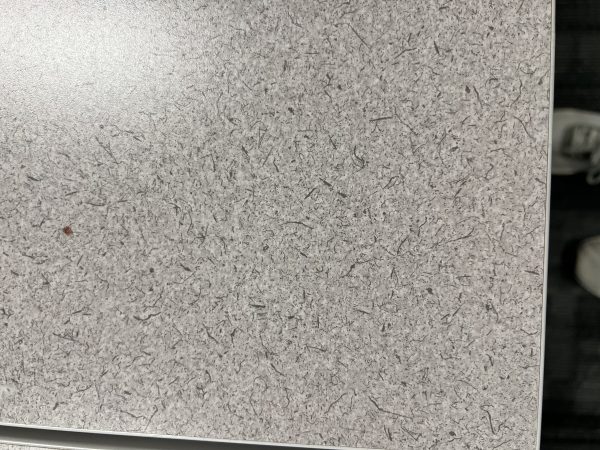 Used Herman Miller 6’ x 6’ Office Cubicles - Image 5